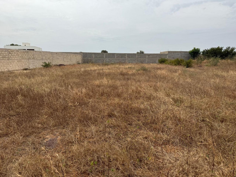 vente Terrain Nguerigne - Photo 1