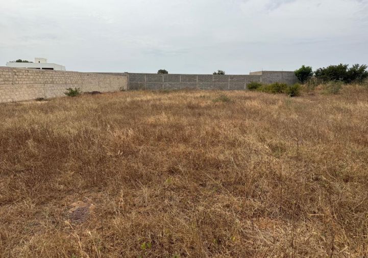 vente Terrain Nguerigne