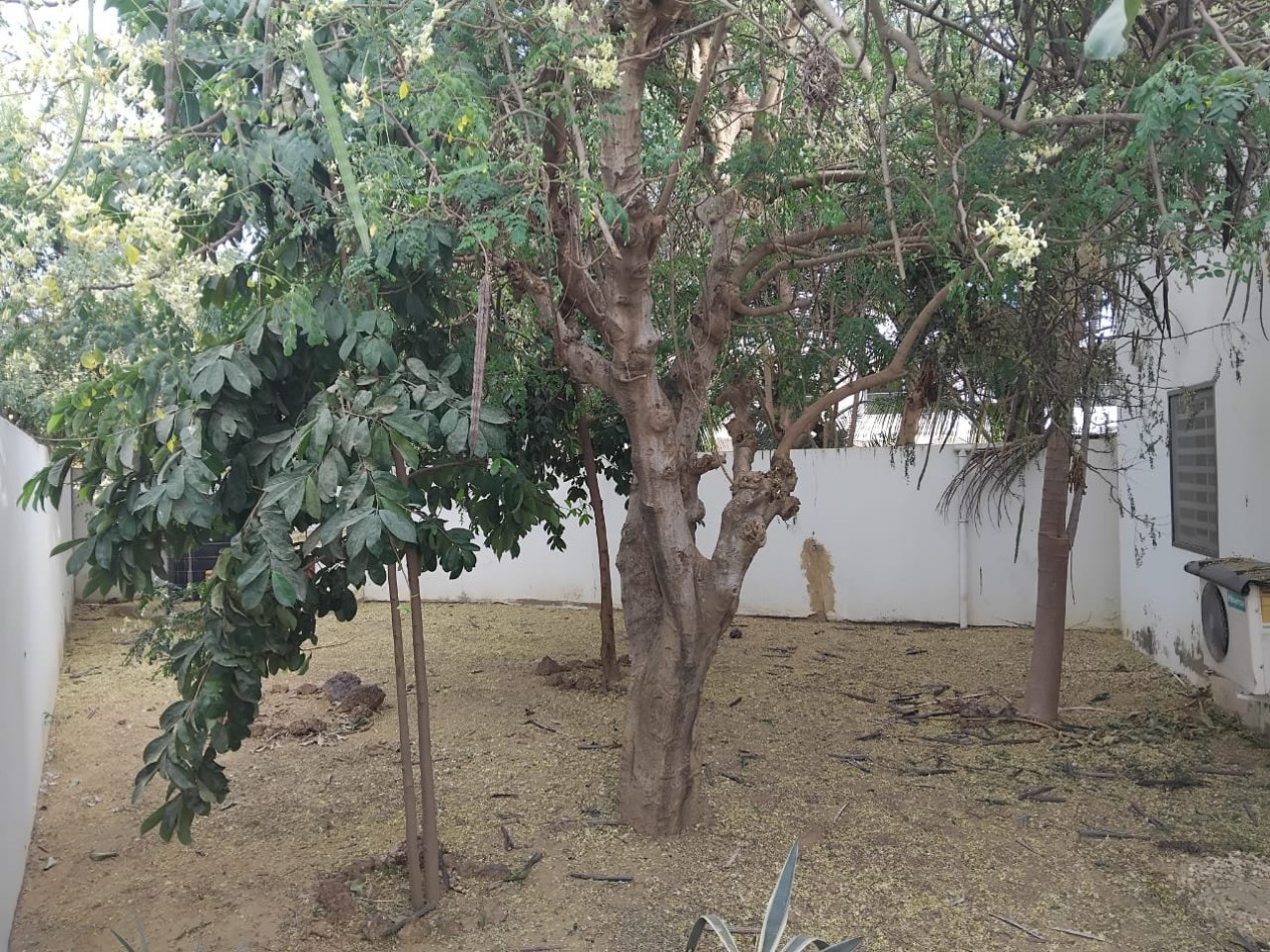 à vendre Villa Somone - Photo 3