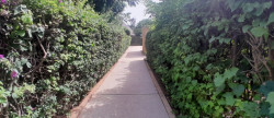 vente Villa Saly