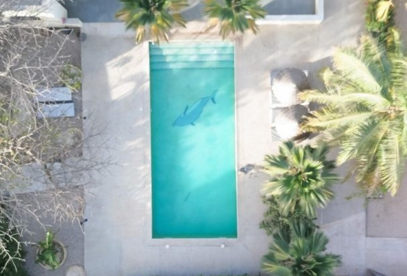 vente Villa Ngaparou - Photo 7