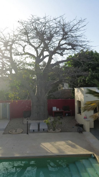 vente Villa Ngaparou - Photo 6