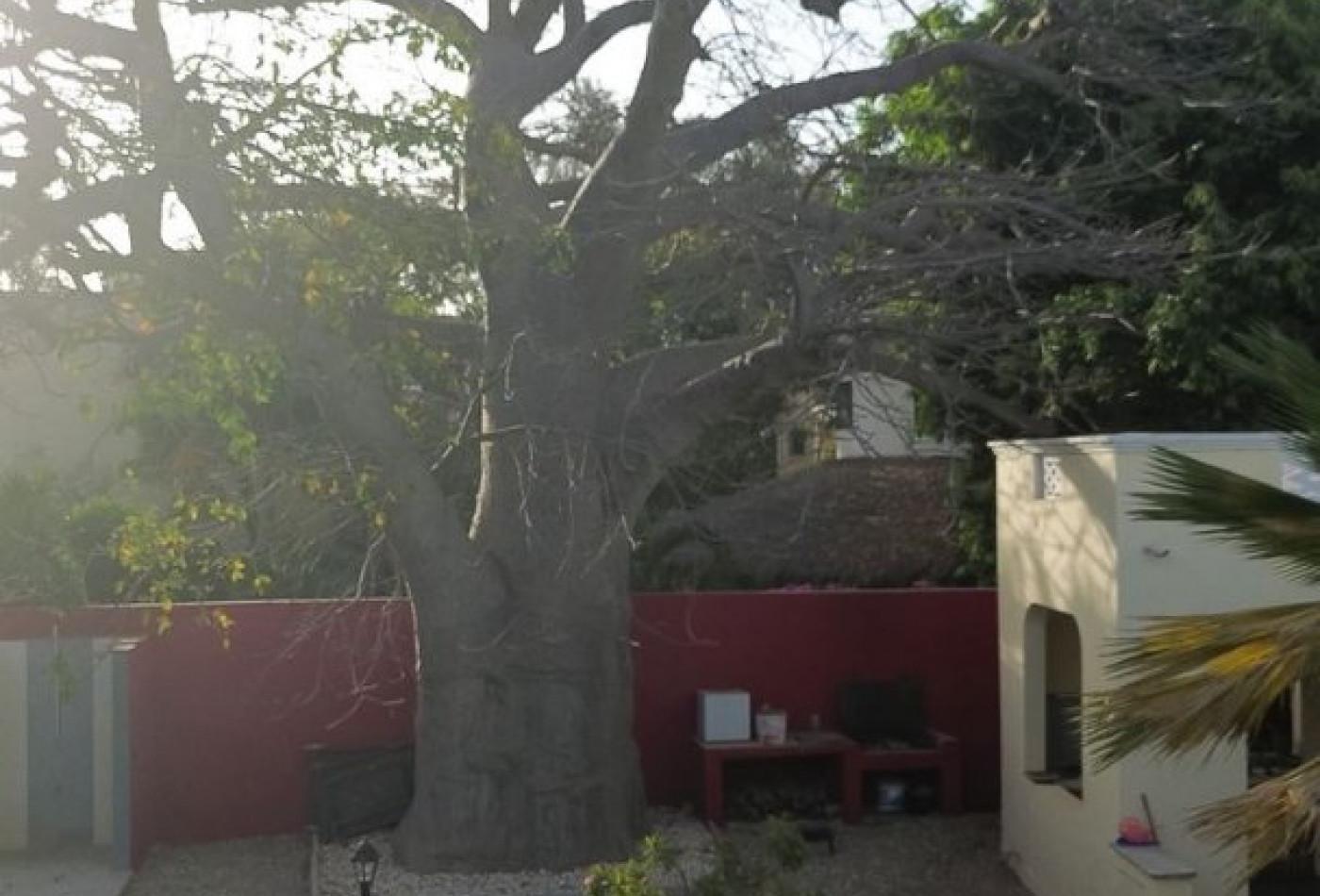 vente Villa Ngaparou - Photo 6