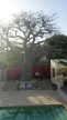 vente Villa Ngaparou