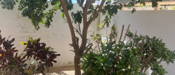 vente Villa Somone