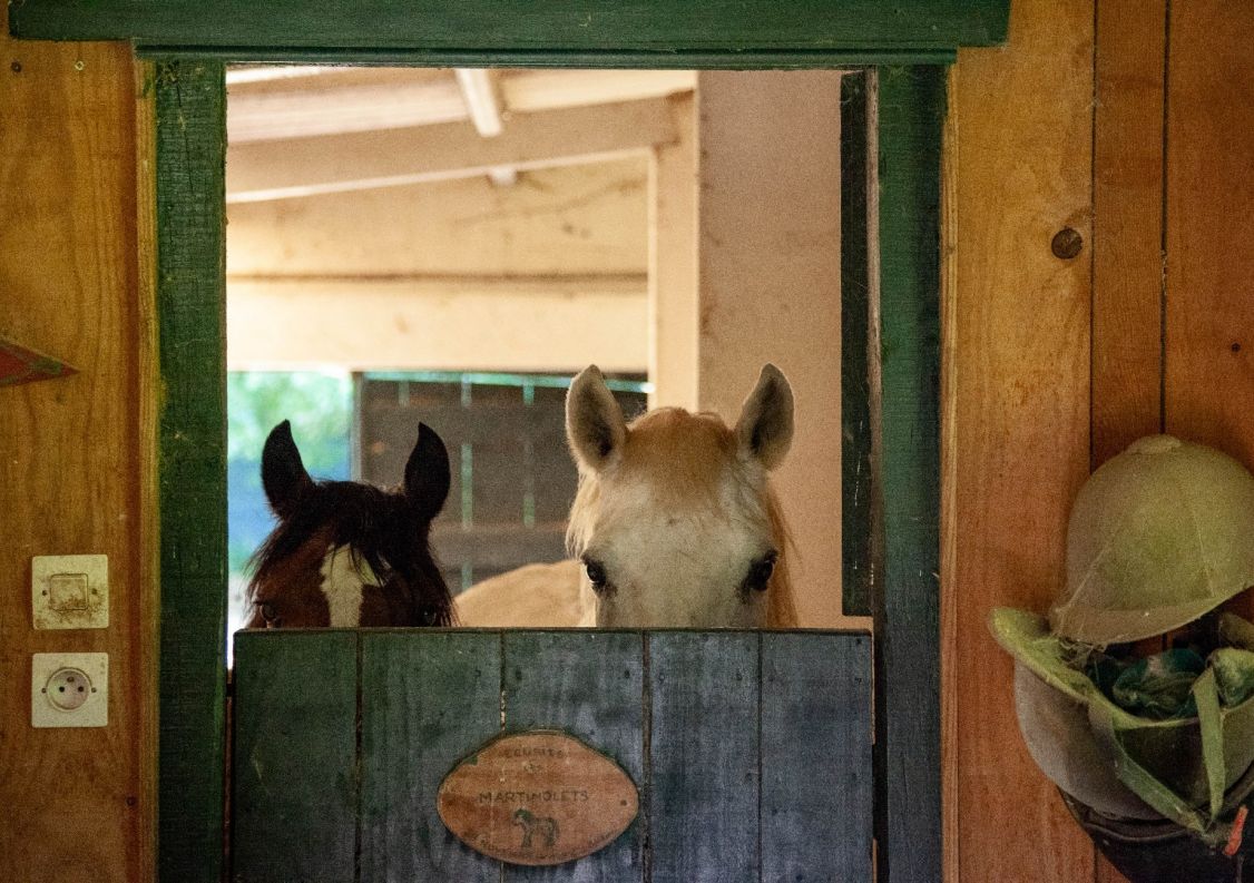 vente Propriété Bayonne