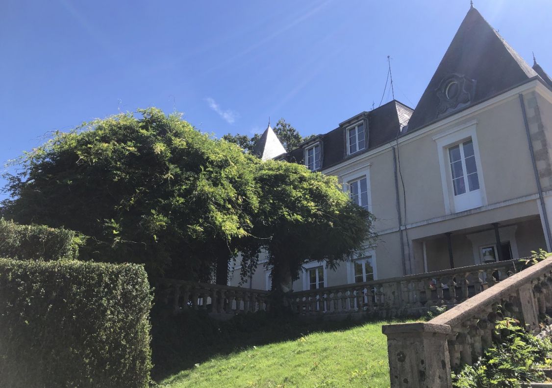 vente Château Chateauneuf La Foret