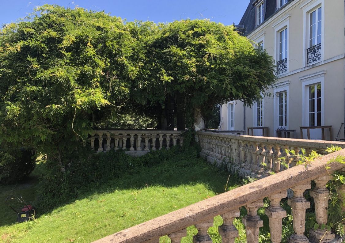 vente Château Chateauneuf La Foret