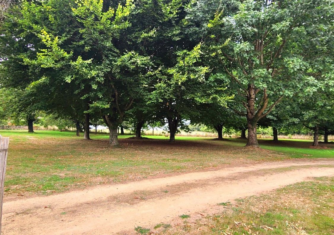 vente Maison de caractère Saint Yrieix La Perche