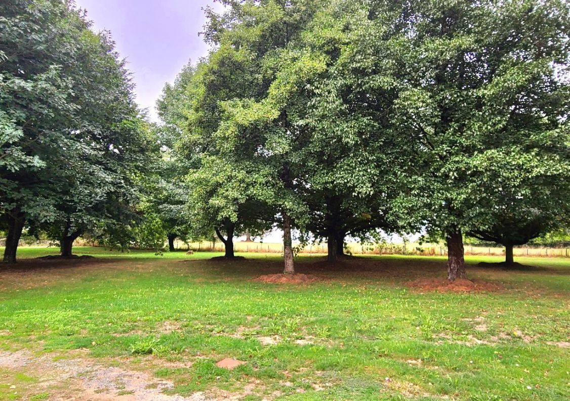 vente Maison de caractère Saint Yrieix La Perche