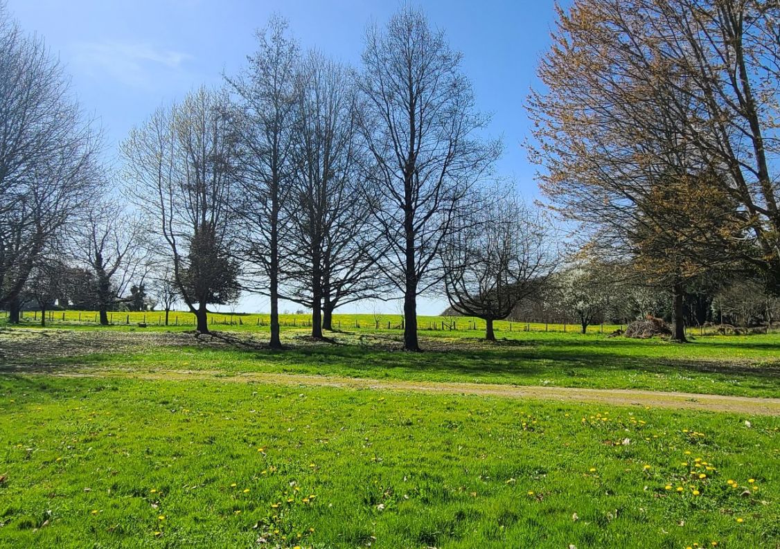 vente Maison de caractère Saint Yrieix La Perche