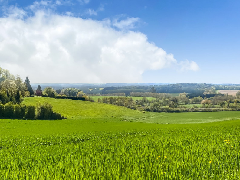 vente Maison de caractère Mortagne Au Perche - Photo 3