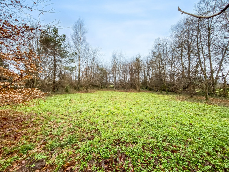 vente Manoir Trans - Photo 4