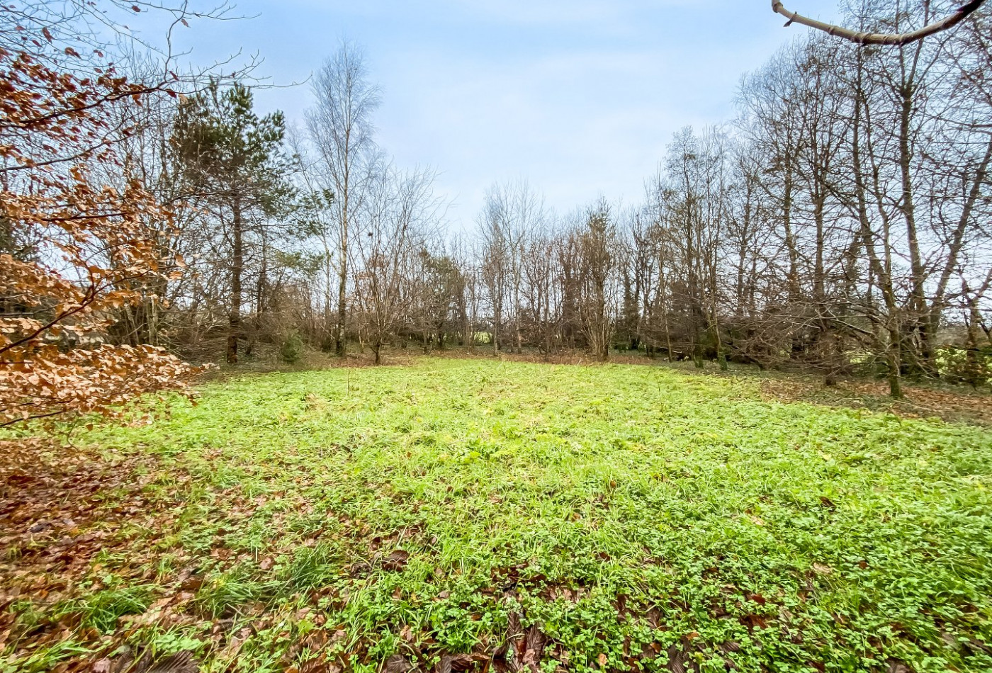 vente Manoir Trans - Photo 4