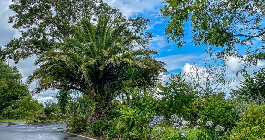 vente Résidence tourisme Colleville Sur Mer