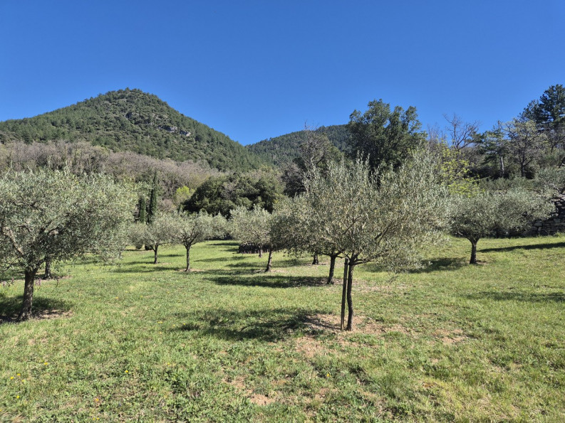 sale Maison de campagne Soubes - Photo 16