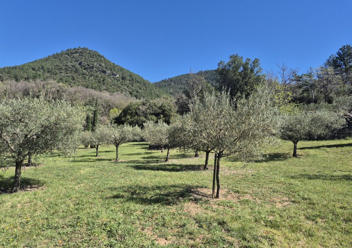 vente Maison de campagne Soubes