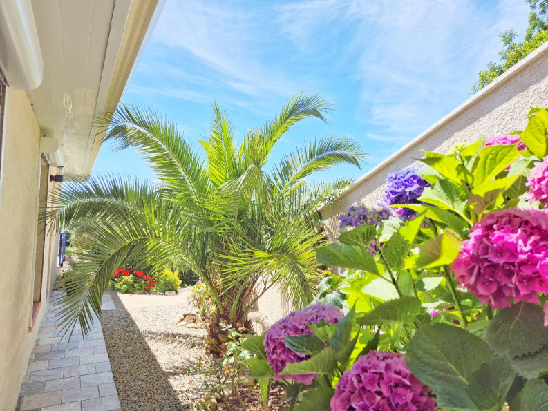 sale Maison Saint Vincent D'olargues - Photo 4