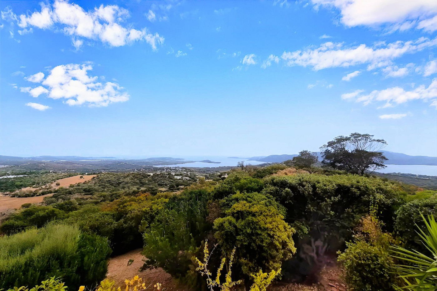 sale Appartement terrasse Porto Vecchio - Photo 16