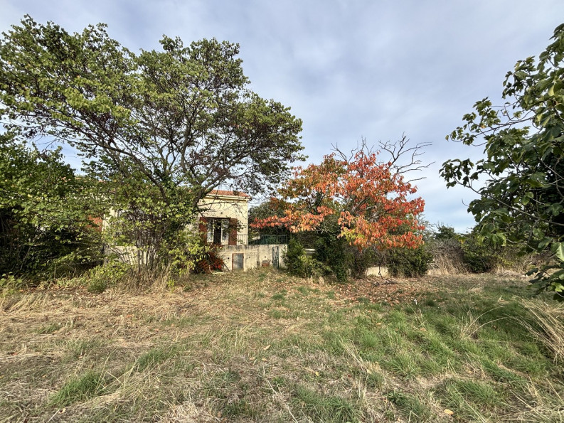 vente Propriété viticole Saint Genies De Fontedit - Photo 1