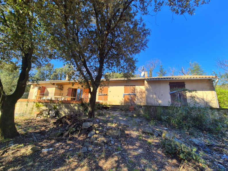 vente Maison Olargues - Photo 1