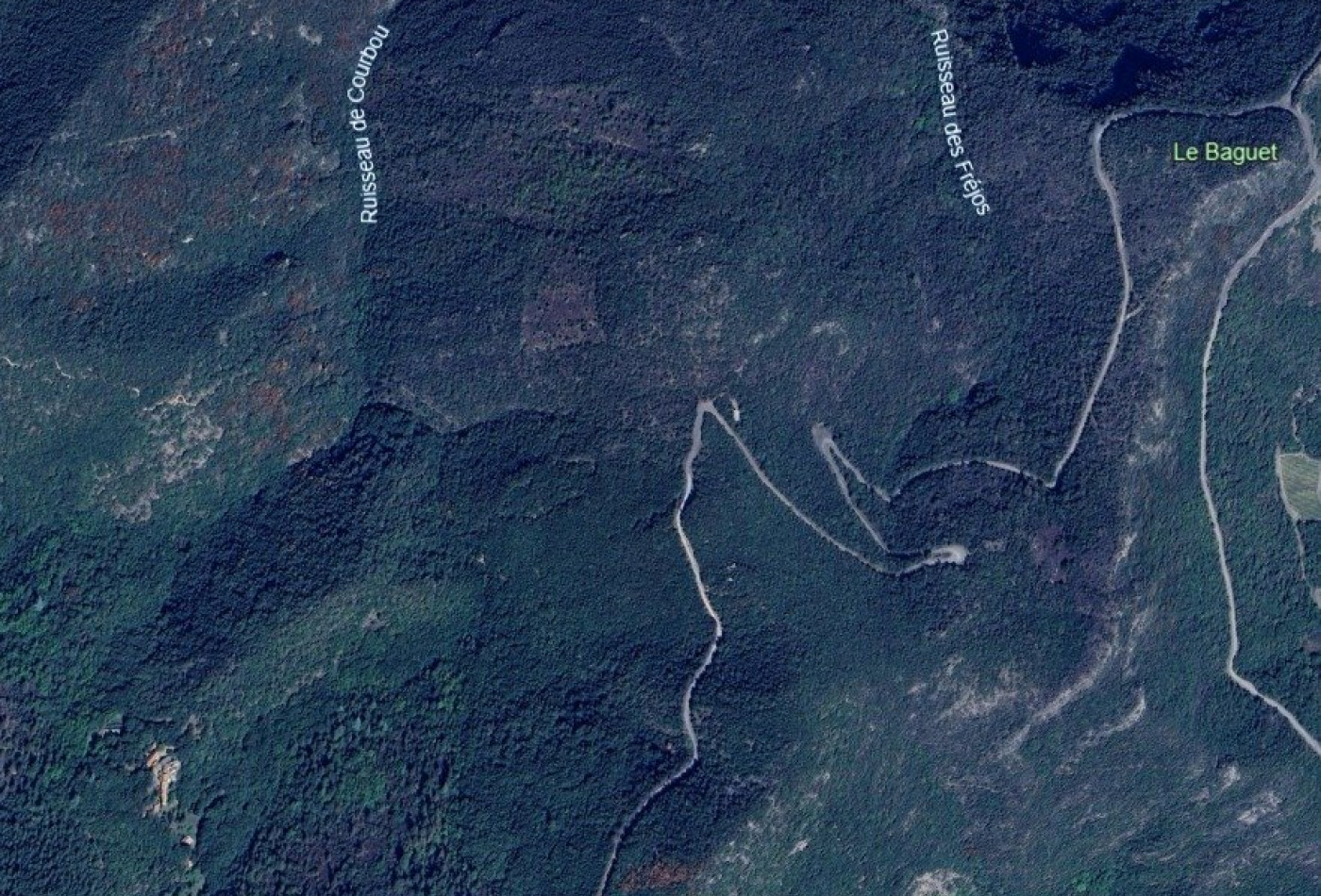 vente Terrain boisé – forêt Mons - Photo 1