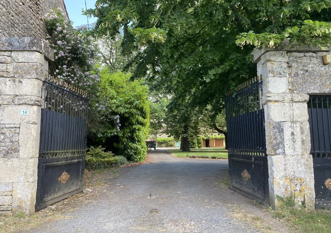 vente Château Ardilleux