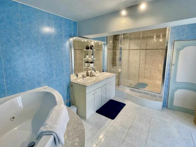 vente Château Ardilleux - Photo 9