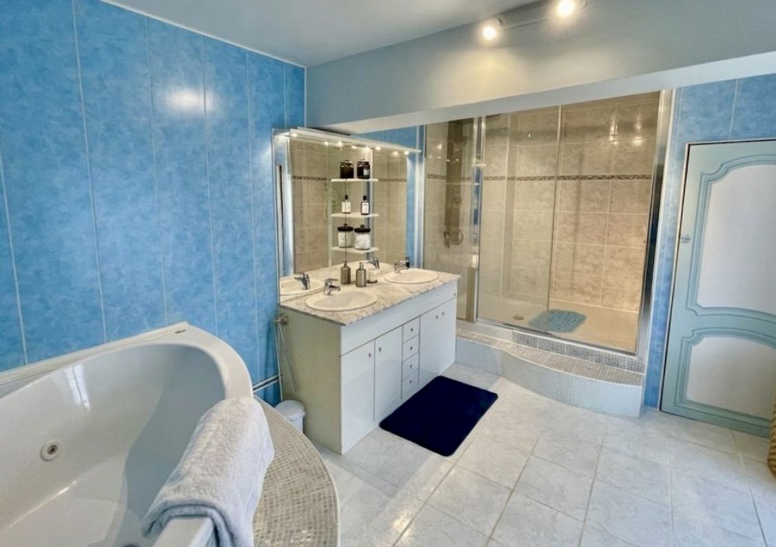 vente Château Ardilleux