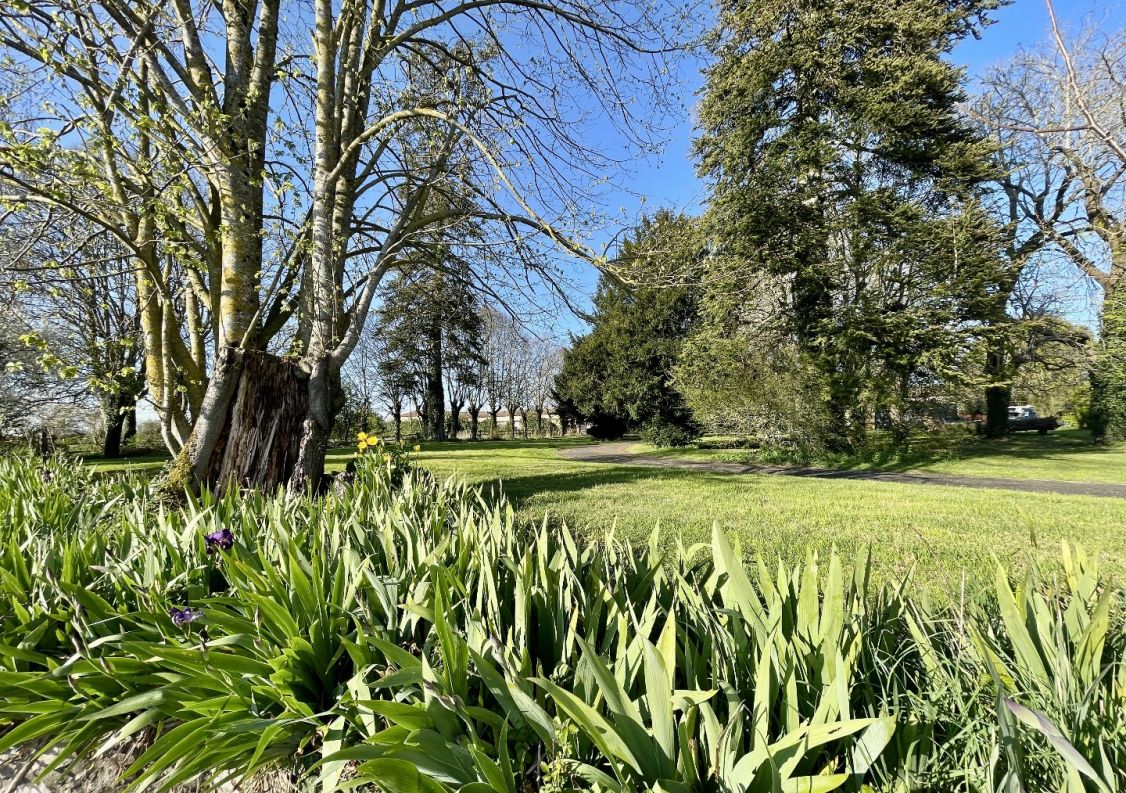 vente Château Ardilleux