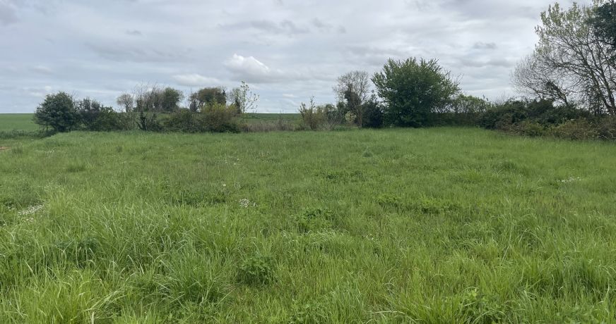 vente Terrain constructible Le Gicq