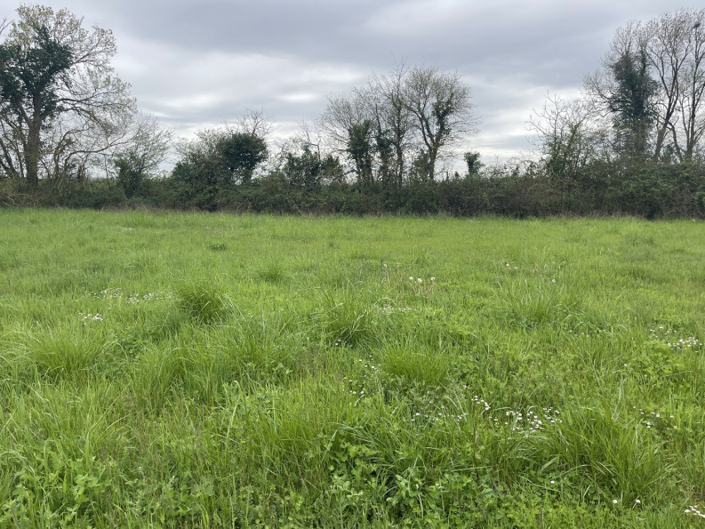 vente Terrain constructible Le Gicq - Photo 3