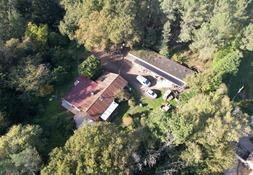 vente Terrain boisé – forêt Boisredon - Photo 9