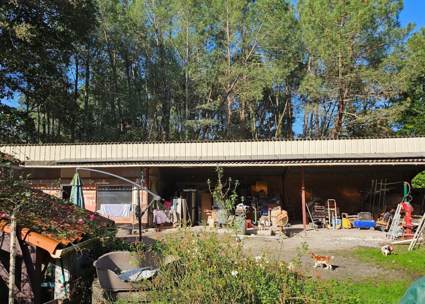 vente Terrain boisé – forêt Boisredon - Photo 12