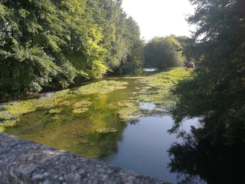 sale Maison de caractère Salles - Photo 18