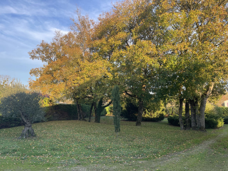 vente Maison individuelle Saint Martial - Photo 2