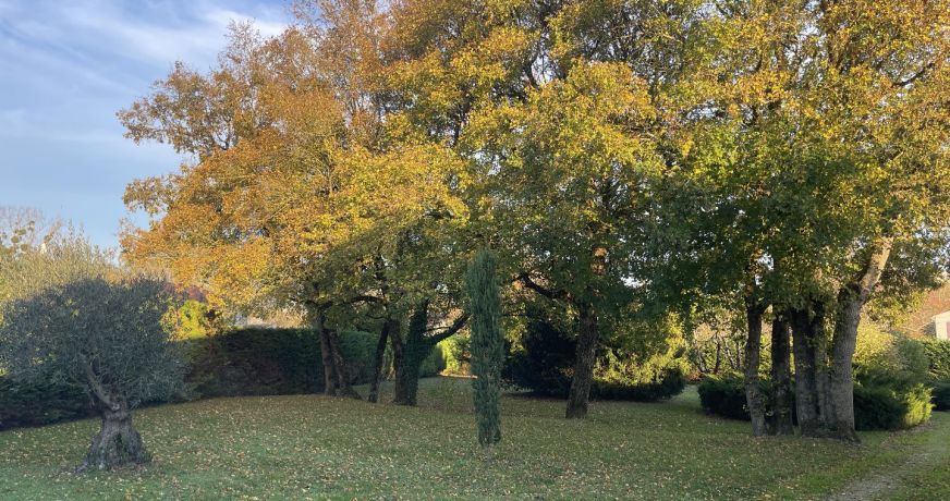 vente Maison individuelle Saint Martial