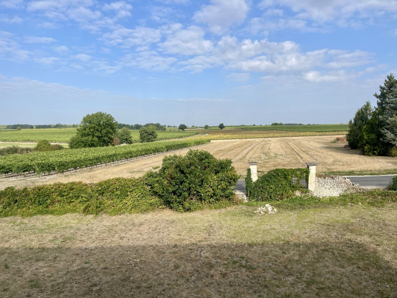 vente Maison de maître Saint Martial Sur Ne - Photo 2