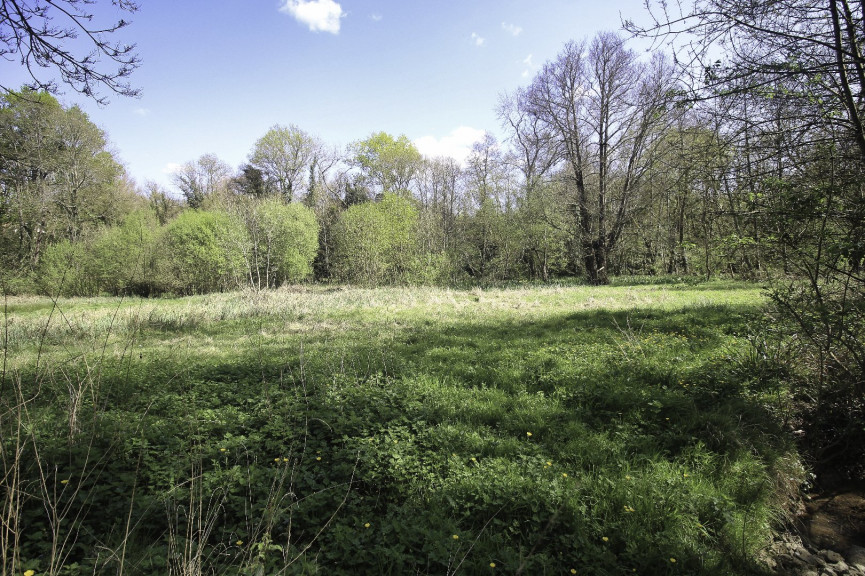 sale Maison de campagne Grandjean - Photo 20