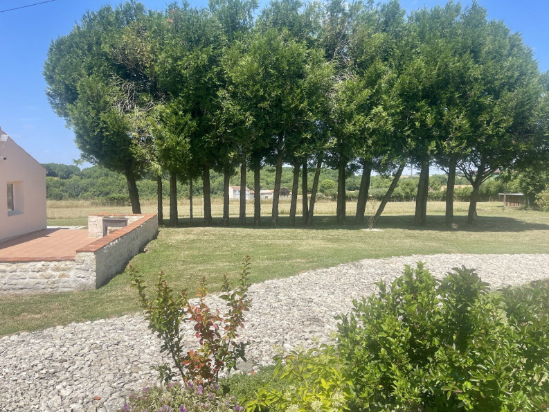 vente Maison de campagne Contre - Photo 16