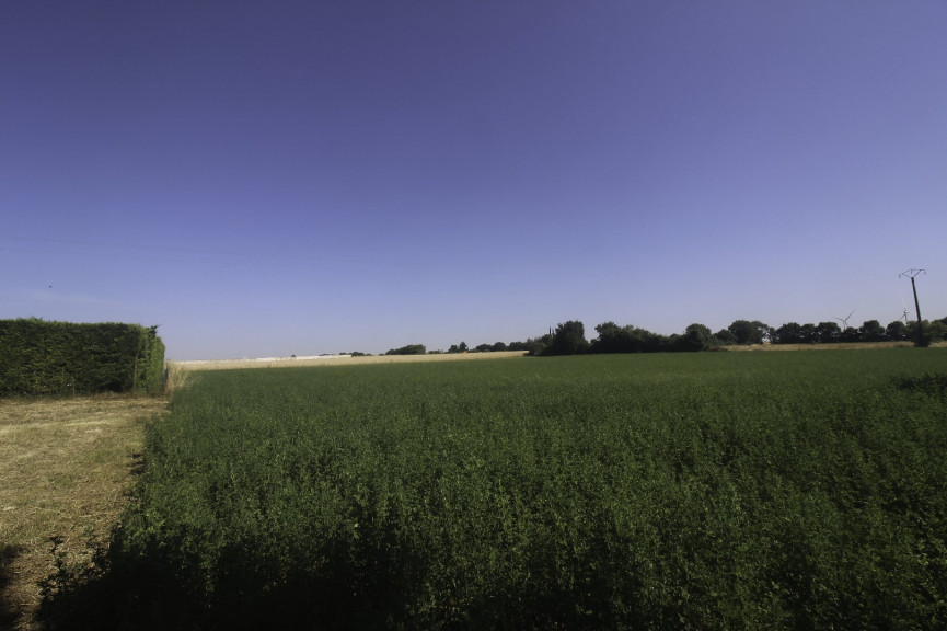 vente Terrain constructible Nachamps - Photo 3