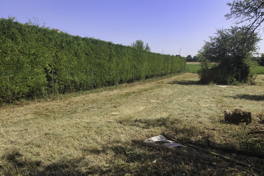 vente Terrain constructible Nachamps - Photo 4