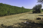 vente Terrain constructible Nachamps