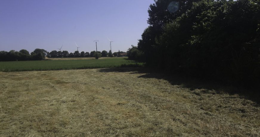 vente Terrain constructible Nachamps
