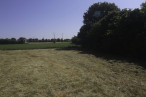 vente Terrain constructible Nachamps