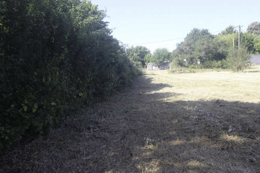 vente Terrain constructible Nachamps - Photo 3
