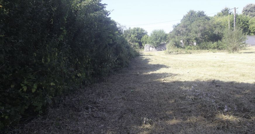 vente Terrain constructible Nachamps