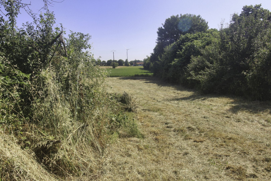 vente Terrain constructible Nachamps - Photo 5