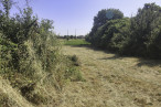 vente Terrain constructible Nachamps