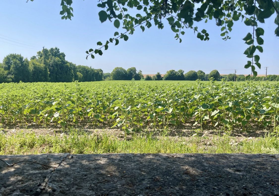 vente Maison de maître Saint Denis Du Pin